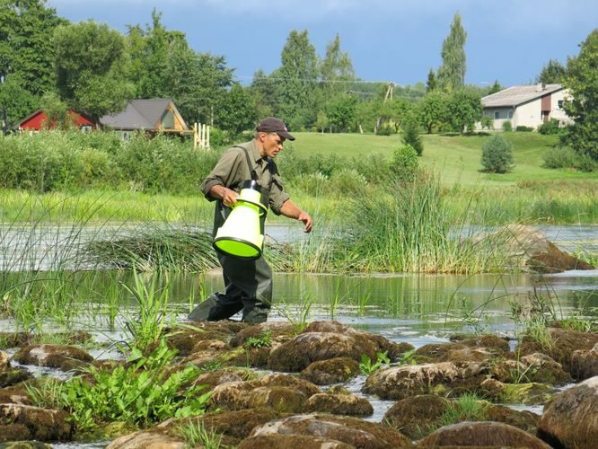 Maakond: Pärnumaa Veekogu nimi: Pärnu jõgi Pildistamise aeg: 13. august 2014 Pildistaja: H. Timm Pildistamise koht: Oore veski Asimuut: