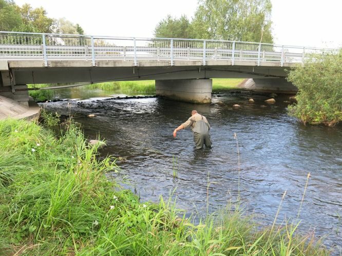 Maakond: Pärnumaa Veekogu nimi: Pärnu jõgi Pildistamise aeg: 13. august 2014 Pildistaja: H. Timm Pildistamise koht: Mündi Asimuut: