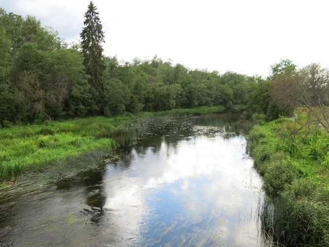 Maakond: Pärnumaa Veekogu nimi: Pärnu jõgi Pildistamise aeg: 13. august 2014 Pildistaja: H. Timm Pildistamise koht: Rae Asimuut: