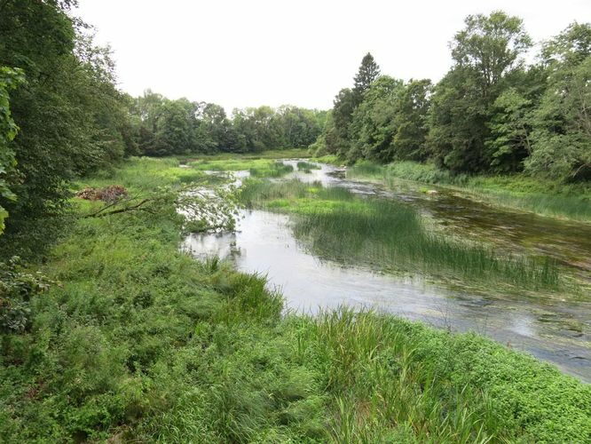 Maakond: Pärnumaa Veekogu nimi: Pärnu jõgi Pildistamise aeg: 13. august 2014 Pildistaja: H. Timm Pildistamise koht: Jõesuu Asimuut: