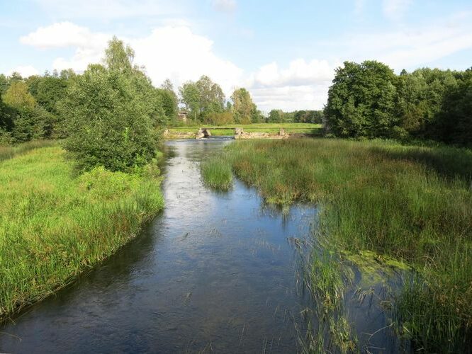 Maakond: Pärnumaa Veekogu nimi: Pärnu jõgi Pildistamise aeg: 13. august 2014 Pildistaja: H. Timm Pildistamise koht: Jändja Asimuut: