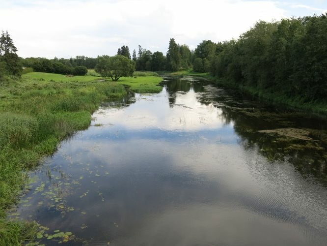 Maakond: Pärnumaa Veekogu nimi: Pärnu jõgi Pildistamise aeg: 13. august 2014 Pildistaja: H. Timm Pildistamise koht: Vihtra Asimuut: