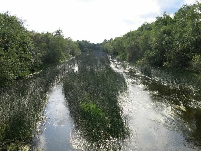 Maakond: Pärnumaa Veekogu nimi: Pärnu jõgi Pildistamise aeg: 13. august 2014 Pildistaja: H. Timm Pildistamise koht: Jändja Asimuut: