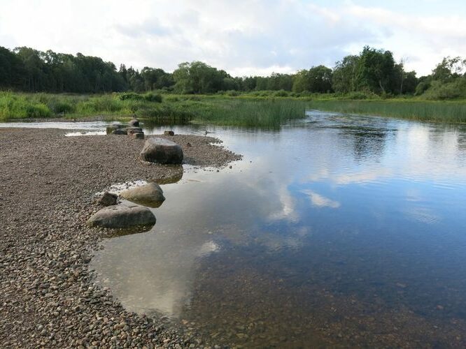 Maakond: Pärnumaa Veekogu nimi: Pärnu jõgi Pildistamise aeg: 13. august 2014 Pildistaja: H. Timm Pildistamise koht: Sindi Asimuut: