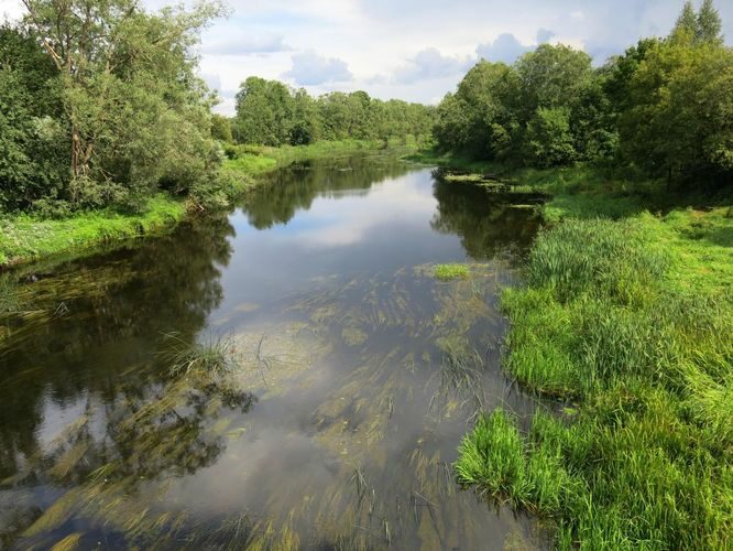 Maakond: Pärnumaa Veekogu nimi: Pärnu jõgi Pildistamise aeg: 13. august 2014 Pildistaja: H. Timm Pildistamise koht: Suurejõe Asimuut: