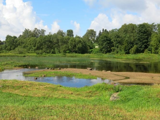 Maakond: Pärnumaa Veekogu nimi: Pärnu jõgi Pildistamise aeg: 13. august 2014 Pildistaja: H. Timm Pildistamise koht: Sindi Asimuut: