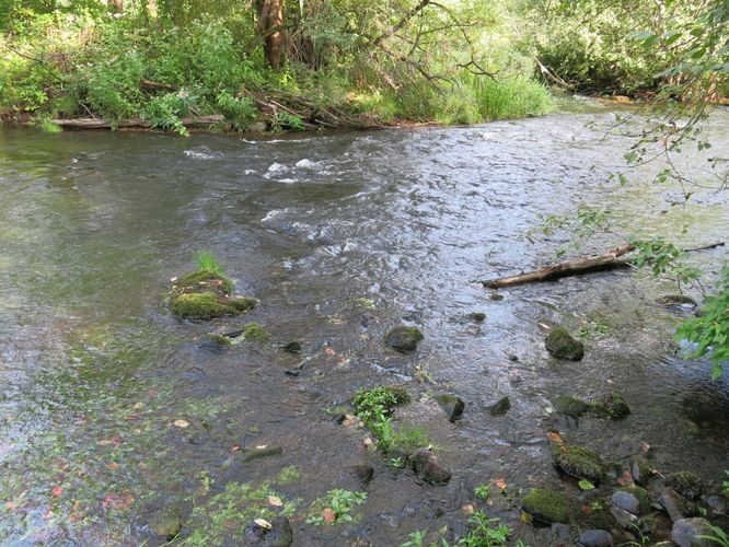 Maakond: Pärnumaa Veekogu nimi: Pärnu jõgi Pildistamise aeg: 13. august 2014 Pildistaja: H. Timm Pildistamise koht: Särevere Asimuut: