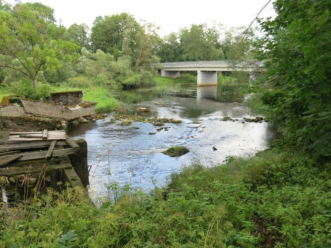 Maakond: Pärnumaa Veekogu nimi: Pärnu jõgi Pildistamise aeg: 13. august 2014 Pildistaja: H. Timm Pildistamise koht: Suurejõe Asimuut: