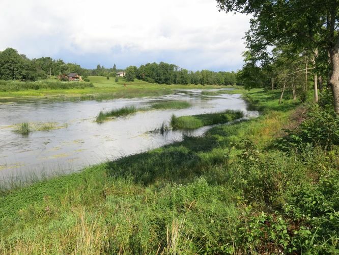 Maakond: Pärnumaa Veekogu nimi: Pärnu jõgi Pildistamise aeg: 13. august 2014 Pildistaja: H. Timm Pildistamise koht: Oore veski Asimuut: