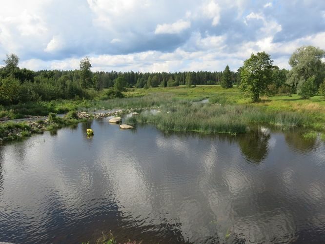 Maakond: Pärnumaa Veekogu nimi: Pärnu jõgi Pildistamise aeg: 13. august 2014 Pildistaja: H. Timm Pildistamise koht: Kurgja Asimuut: