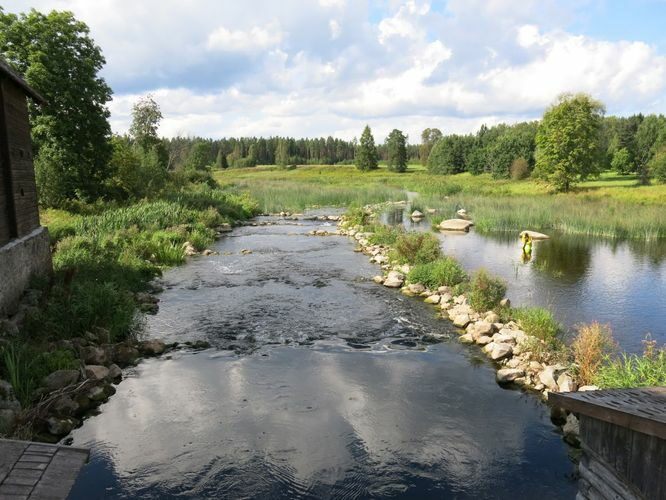 Maakond: Pärnumaa Veekogu nimi: Pärnu jõgi Pildistamise aeg: 13. august 2014 Pildistaja: H. Timm Pildistamise koht: Kurgja Asimuut: