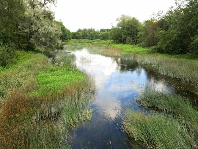 Maakond: Pärnumaa Veekogu nimi: Pärnu jõgi Pildistamise aeg: 13. august 2014 Pildistaja: H. Timm Pildistamise koht: Rae Asimuut: