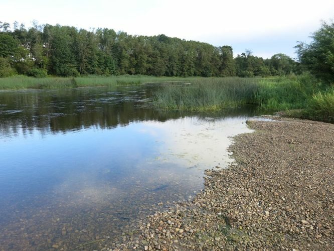 Maakond: Pärnumaa Veekogu nimi: Pärnu jõgi Pildistamise aeg: 13. august 2014 Pildistaja: H. Timm Pildistamise koht: Sindi Asimuut: