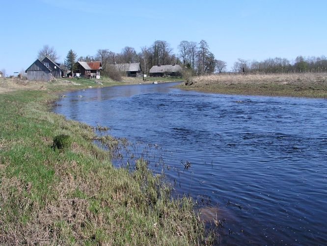 Maakond: Jõgevamaa Veekogu nimi: Pedja jõgi Pildistamise aeg: 1. mai 2009 Pildistaja: H. Timm Pildistamise koht: Kursi Asimuut: