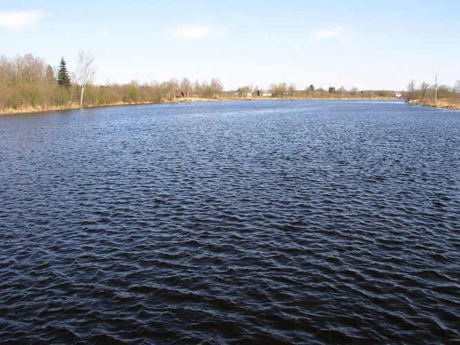 Maakond: Jõgevamaa Veekogu nimi: Pedja jõgi Pildistamise aeg: 1. mai 2009 Pildistaja: H. Timm Pildistamise koht: Tõrve paisjärv Asimuut: