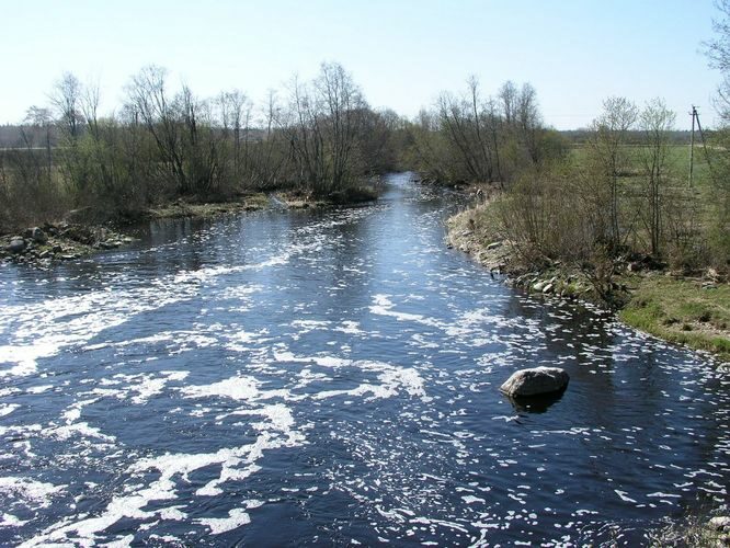 Maakond: Jõgevamaa Veekogu nimi: Pedja jõgi Pildistamise aeg: 1. mai 2009 Pildistaja: H. Timm Pildistamise koht: Tõrve paisult Asimuut: