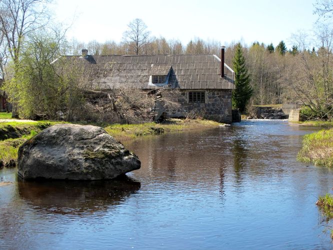 Maakond: Jõgevamaa Veekogu nimi: Pedja jõgi Pildistamise aeg: 7. mai 2011 Pildistaja: H. Timm Pildistamise koht: Käruveski Asimuut: