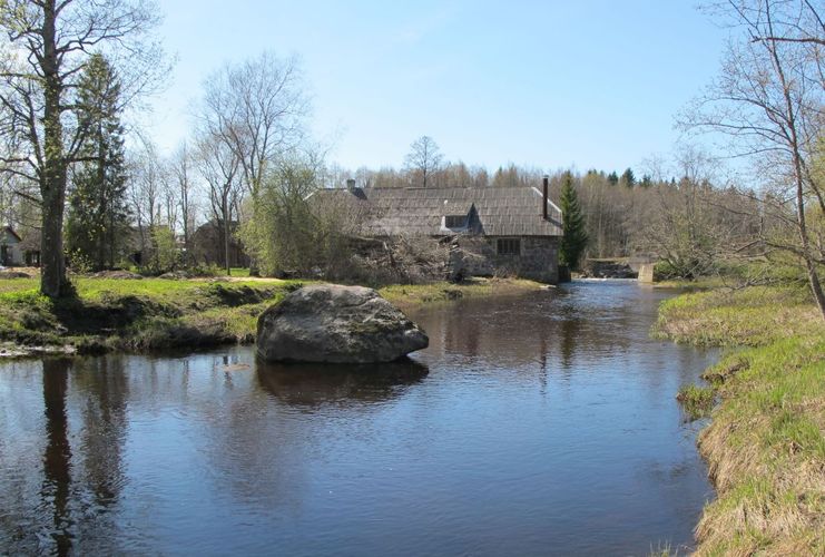 Maakond: Jõgevamaa Veekogu nimi: Pedja jõgi Pildistamise aeg: 7. mai 2011 Pildistaja: H. Timm Pildistamise koht: Käruveski Asimuut: