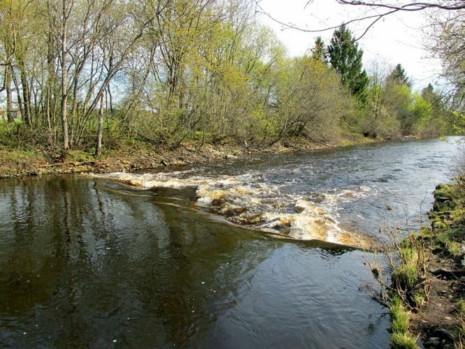 Maakond: Jõgevamaa Veekogu nimi: Pedja jõgi Pildistamise aeg: 7. mai 2011 Pildistaja: H. Timm Pildistamise koht: Rohe Asimuut: