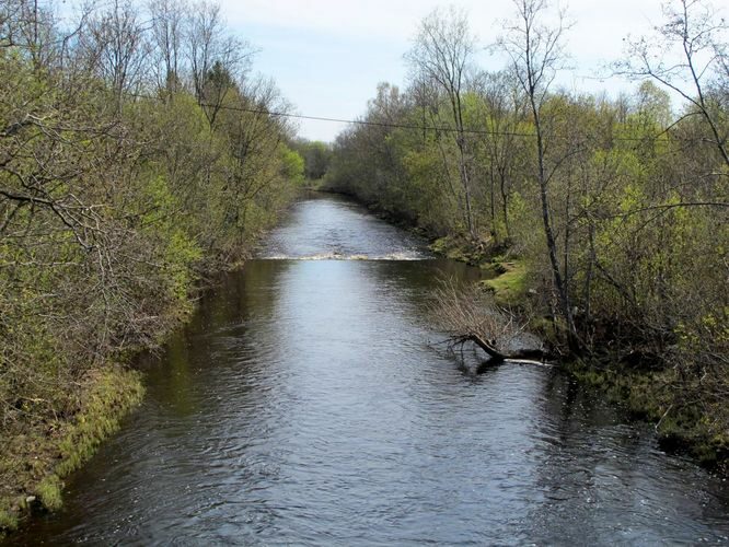 Maakond: Jõgevamaa Veekogu nimi: Pedja jõgi Pildistamise aeg: 7. mai 2011 Pildistaja: H. Timm Pildistamise koht: Rohe Asimuut: