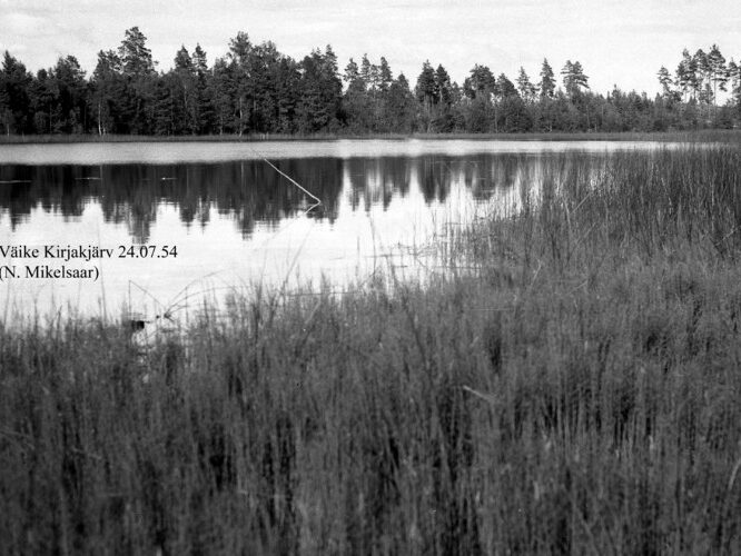 Maakond: Ida-Virumaa Veekogu nimi: Peen-Kirjakjärv Pildistamise aeg: 24. juuli 1954 Pildistaja: N. Mikelsaar Pildistamise koht: SSE Asimuut: