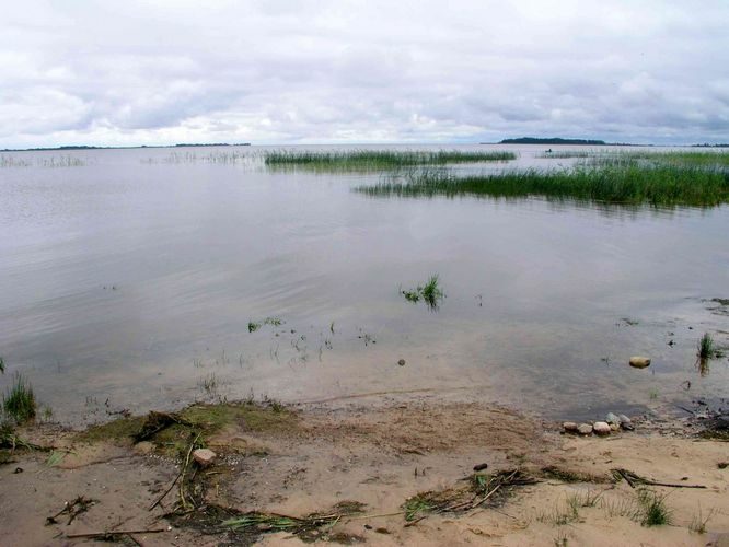 Maakond: Põlvamaa Veekogu nimi: Peipsi järv Pildistamise aeg: 7. oktoober 2004 Pildistaja: H. Timm Pildistamise koht: Räpina rand Asimuut: