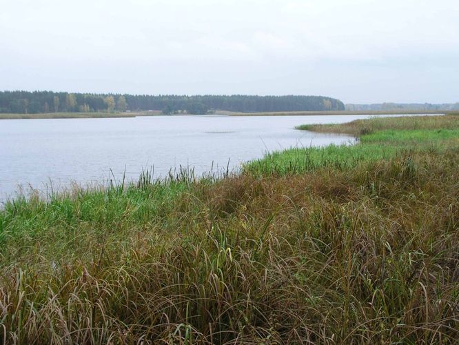 Maakond: Põlvamaa Veekogu nimi: Peipsi järv Pildistamise aeg: 7. oktoober 2004 Pildistaja: H. Timm Pildistamise koht: teadmata Asimuut: