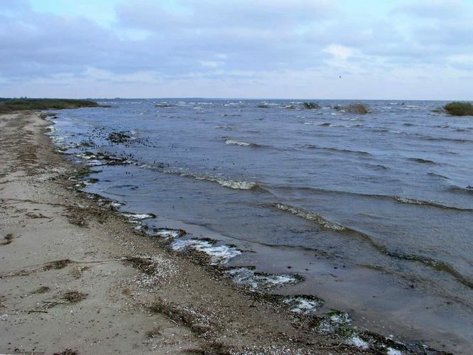 Maakond: Ida-Virumaa Veekogu nimi: Peipsi järv Pildistamise aeg: 16. oktoober 2004 Pildistaja: H. Timm Pildistamise koht: Tammispää Asimuut: