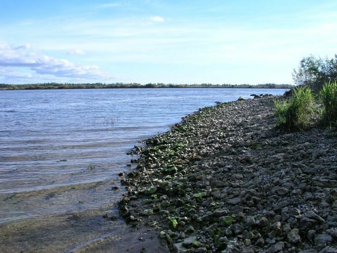 Maakond: Ida-Virumaa Veekogu nimi: Peipsi järv Pildistamise aeg: 5. oktoober 2005 Pildistaja: H. Timm Pildistamise koht: teadmata Asimuut: