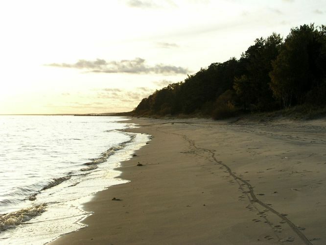 Maakond: Ida-Virumaa Veekogu nimi: Peipsi järv Pildistamise aeg: 7. oktoober 2009 Pildistaja: H. Timm Pildistamise koht: teadmata Asimuut: