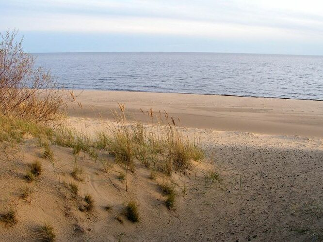 Maakond: Ida-Virumaa Veekogu nimi: Peipsi järv Pildistamise aeg: 7. oktoober 2009 Pildistaja: H. Timm Pildistamise koht: teadmata Asimuut: