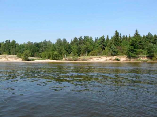 Maakond: Ida-Virumaa Veekogu nimi: Peipsi järv Pildistamise aeg: 26. juuli 2010 Pildistaja: H. Timm Pildistamise koht: Remniku - Rannapungerja Asimuut: