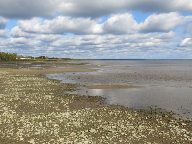 Maakond: Jõgevamaa Veekogu nimi: Peipsi järv Pildistamise aeg: 24. september 2014 Pildistaja: H. Timm Pildistamise koht: Mustvee Asimuut: