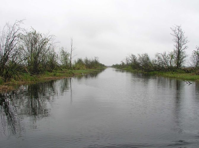 Maakond: Läänemaa Veekogu nimi: Penijõgi Pildistamise aeg: 15. mai 2007 Pildistaja: H. Timm Pildistamise koht: alamjooks Asimuut: