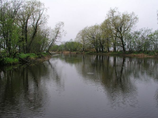 Maakond: Läänemaa Veekogu nimi: Penijõgi Pildistamise aeg: 15. mai 2007 Pildistaja: H. Timm Pildistamise koht: alamjooks Asimuut: