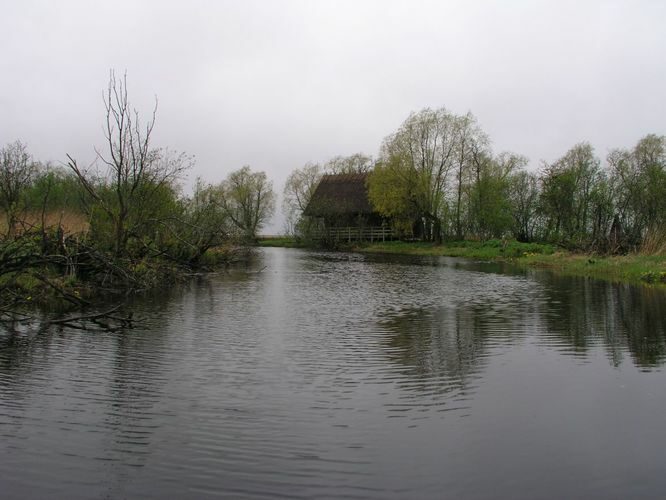 Maakond: Läänemaa Veekogu nimi: Penijõgi Pildistamise aeg: 15. mai 2007 Pildistaja: H. Timm Pildistamise koht: alamjooks Asimuut: