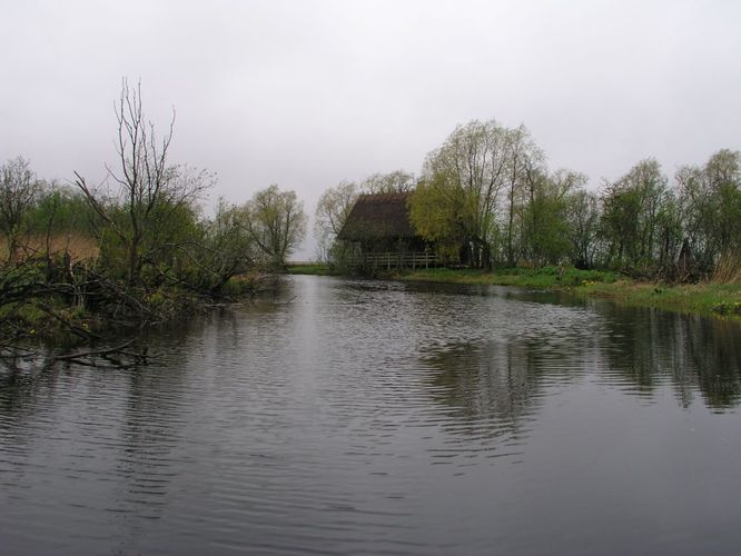 Maakond: Läänemaa Veekogu nimi: Penijõgi Pildistamise aeg: 15. mai 2007 Pildistaja: H. Timm Pildistamise koht: alamjooks Asimuut: