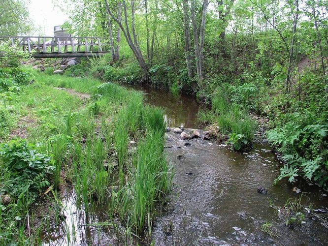 Maakond: Läänemaa Veekogu nimi: Penijõgi Pildistamise aeg: 15. mai 2008 Pildistaja: H. Timm Pildistamise koht: Penijõe Asimuut: