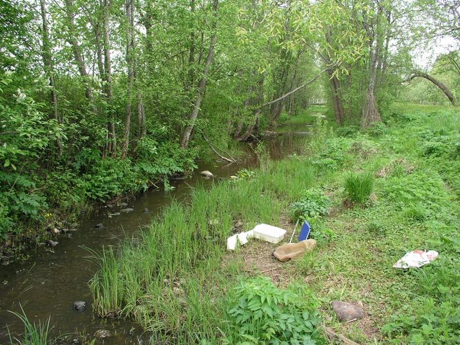 Maakond: Läänemaa Veekogu nimi: Penijõgi Pildistamise aeg: 15. mai 2008 Pildistaja: H. Timm Pildistamise koht: Penijõe Asimuut: