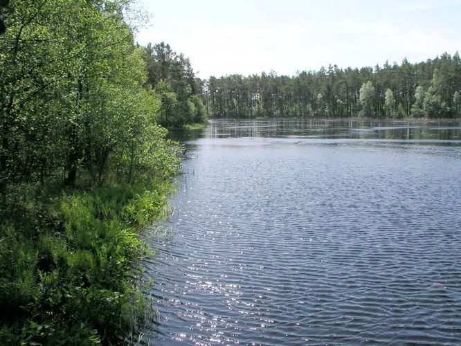 Maakond: Läänemaa Veekogu nimi: Peraküla Allikajärv Pildistamise aeg: 6. juuni 2003 Pildistaja: H. Timm Pildistamise koht: teadmata Asimuut: