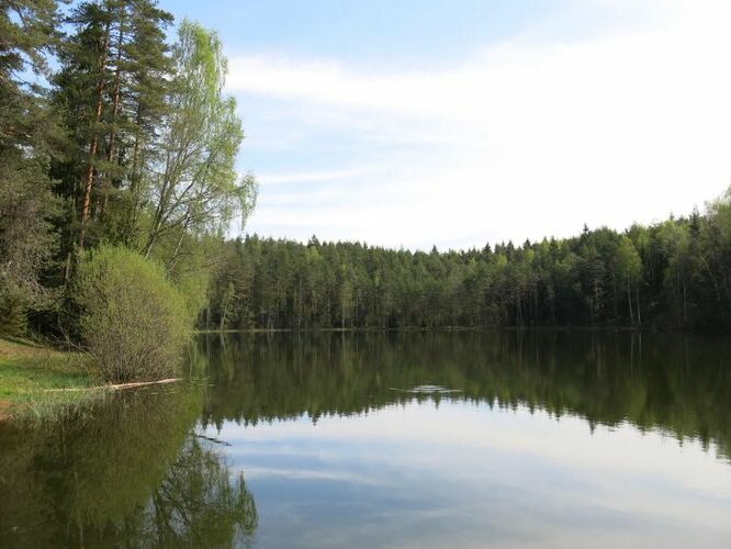 Maakond: Ida-Virumaa Veekogu nimi: Pesujärv Pildistamise aeg: 14. mai 2013 Pildistaja: H. Timm Pildistamise koht: teadmata Asimuut: