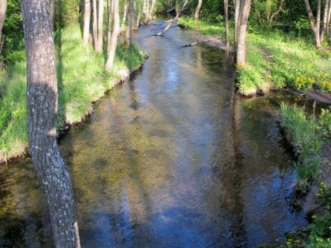 Maakond: Saaremaa Veekogu nimi: Pidula oja Pildistamise aeg: 21. mai 2011 Pildistaja: H. Timm Pildistamise koht: sild alamjooksul Asimuut: