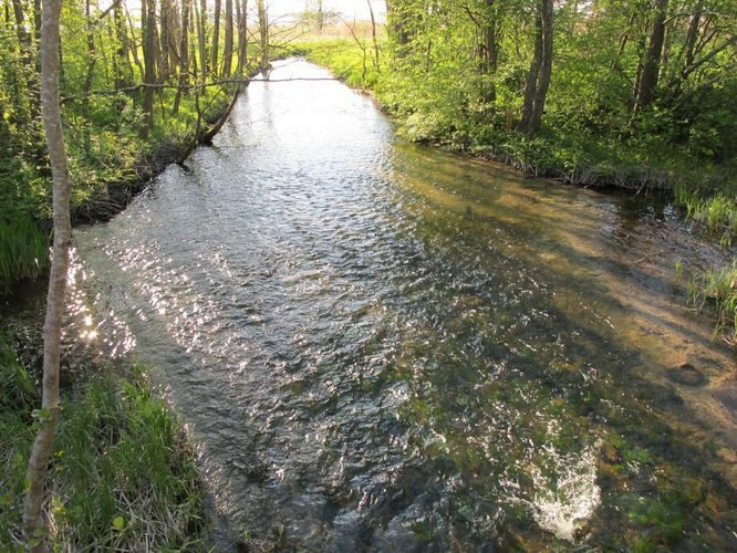 Maakond: Saaremaa Veekogu nimi: Pidula oja Pildistamise aeg: 21. mai 2011 Pildistaja: H. Timm Pildistamise koht: sild alamjooksul Asimuut: