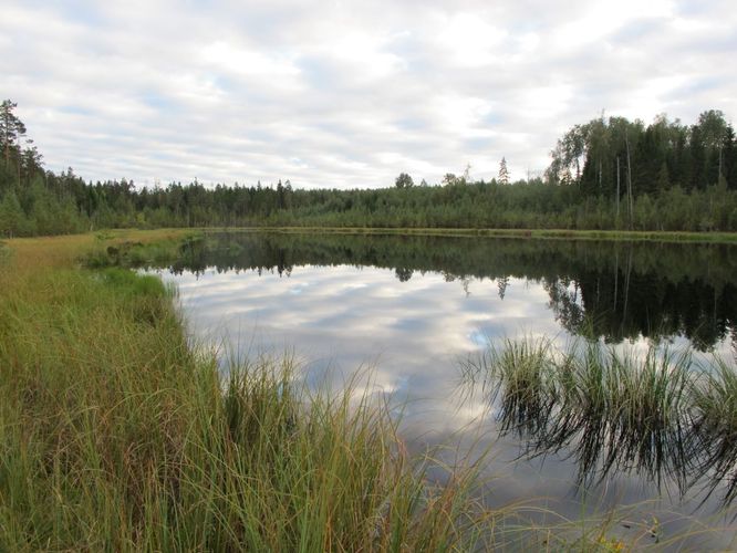 Maakond: Põlvamaa Veekogu nimi: Piigandi Ahijärv Pildistamise aeg: 10. september 2012 Pildistaja: H. Timm Pildistamise koht: teadmata Asimuut: