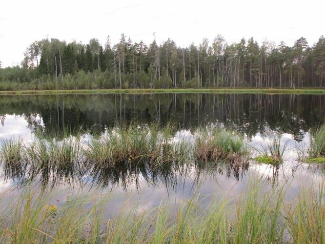 Maakond: Põlvamaa Veekogu nimi: Piigandi Ahijärv Pildistamise aeg: 10. september 2012 Pildistaja: H. Timm Pildistamise koht: teadmata Asimuut: