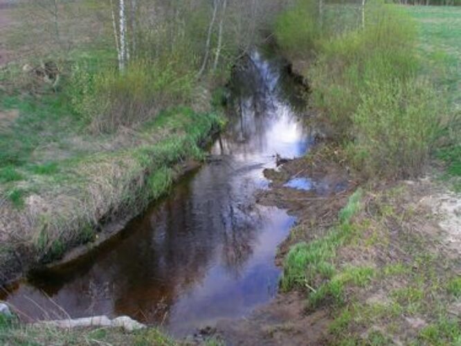 Maakond: Ida-Virumaa Veekogu nimi: Piilsi jõgi Pildistamise aeg: 7. mai 2009 Pildistaja: H. Timm Pildistamise koht: Piilsi Asimuut: