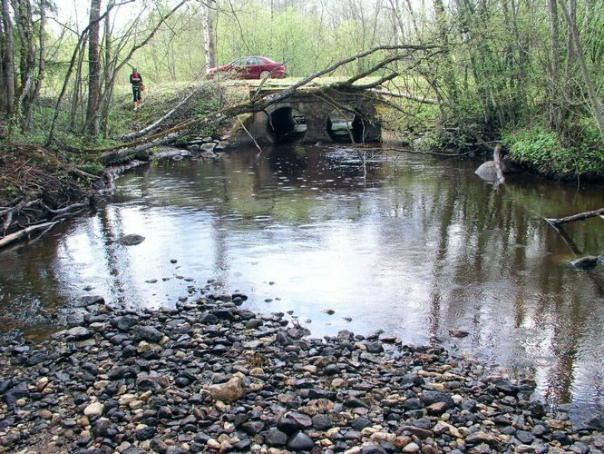 Maakond: Ida-Virumaa Veekogu nimi: Piilsi jõgi Pildistamise aeg: 7. mai 2009 Pildistaja: H. Timm Pildistamise koht: Jõemetsa Asimuut: