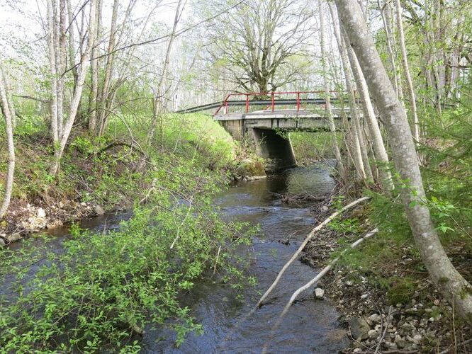 Maakond: Läänemaa Veekogu nimi: Piirsalu jõgi Pildistamise aeg: 14. mai 2014 Pildistaja: H. Timm Pildistamise koht: Kuijõe Asimuut: