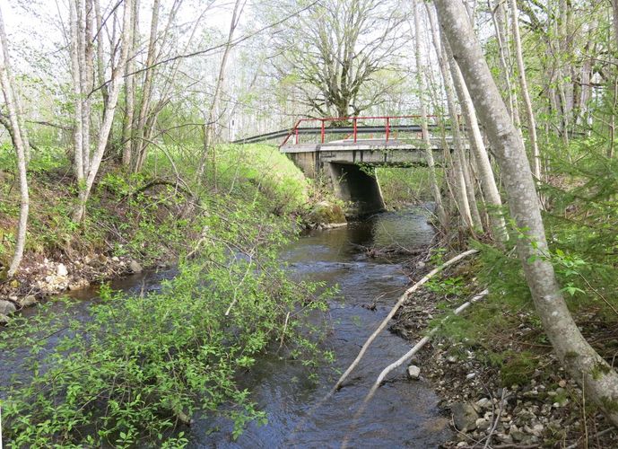 Maakond: Läänemaa Veekogu nimi: Piirsalu jõgi Pildistamise aeg: 14. mai 2014 Pildistaja: H. Timm Pildistamise koht: Kuijõe Asimuut: