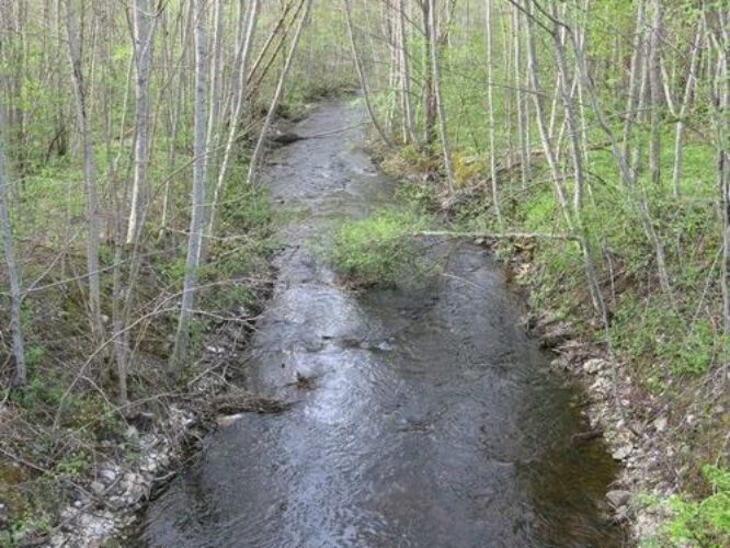 Maakond: Läänemaa Veekogu nimi: Piirsalu jõgi Pildistamise aeg: 14. mai 2014 Pildistaja: H. Timm Pildistamise koht: Kuijõe Asimuut: